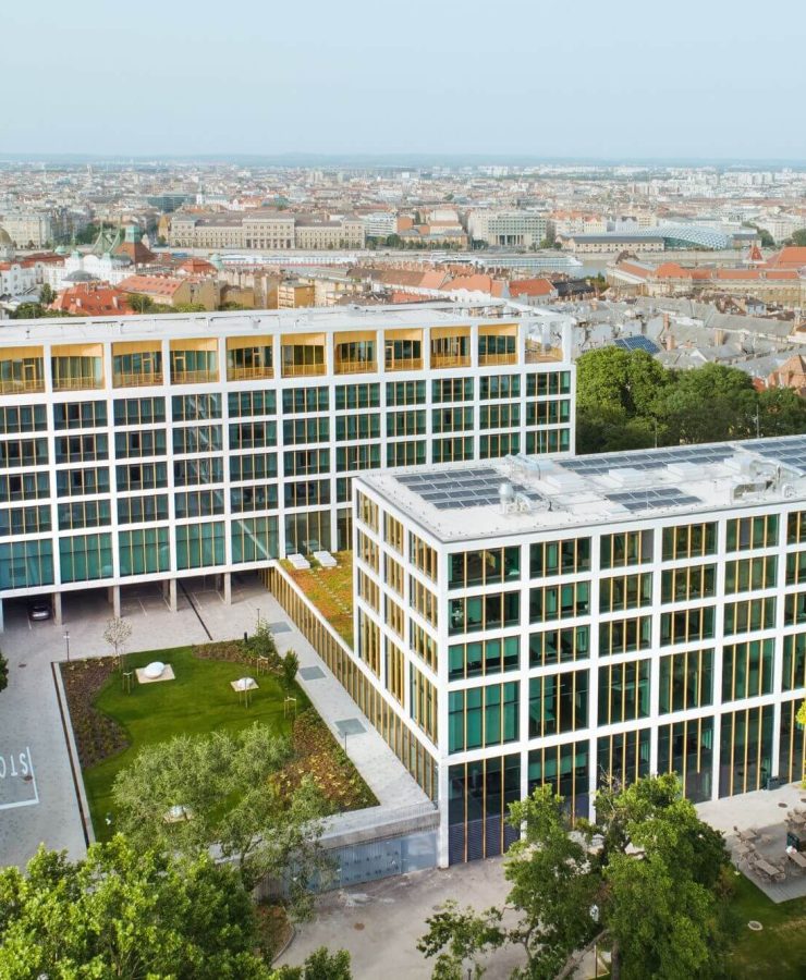 corvinus-gellert-featured